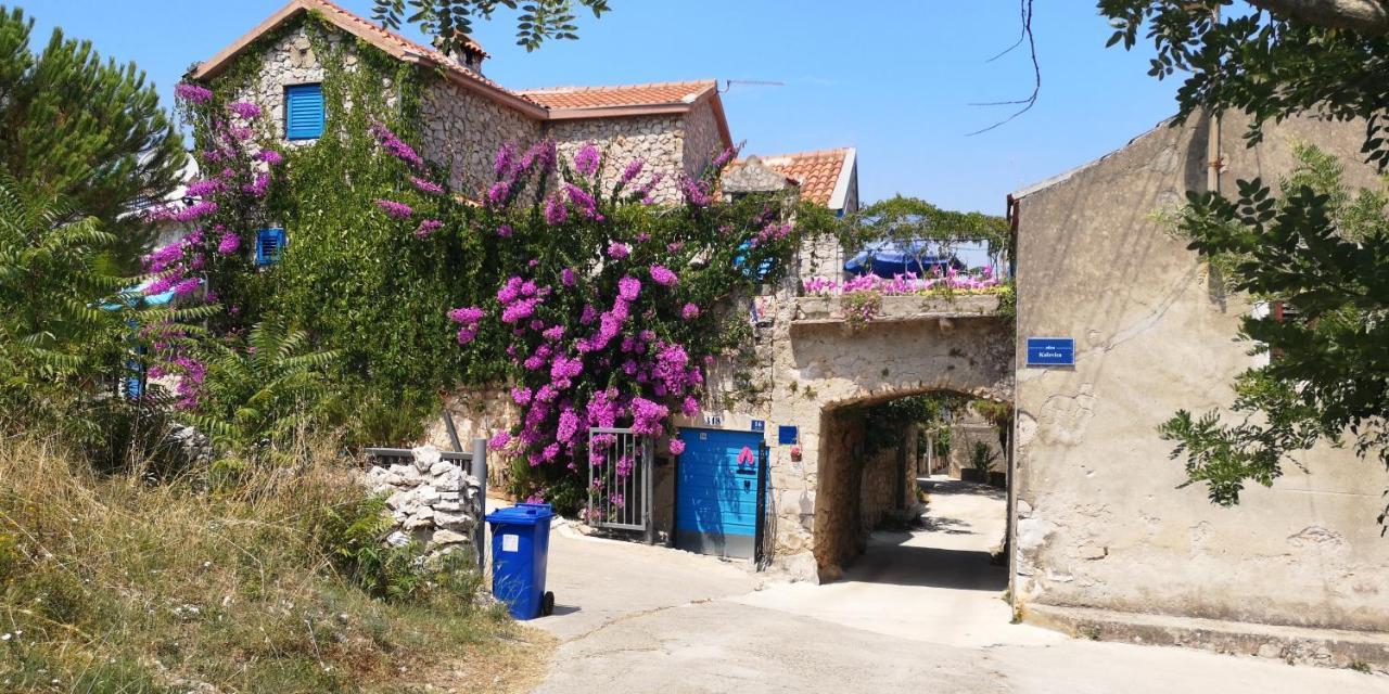 Charming Dalmatian Apartment With Panoramic View Tkon Εξωτερικό φωτογραφία