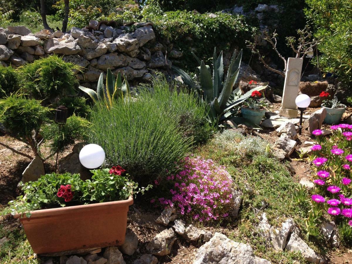 Charming Dalmatian Apartment With Panoramic View Tkon Εξωτερικό φωτογραφία