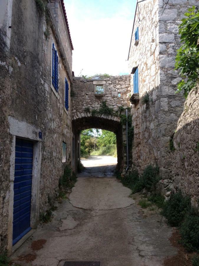 Charming Dalmatian Apartment With Panoramic View Tkon Εξωτερικό φωτογραφία